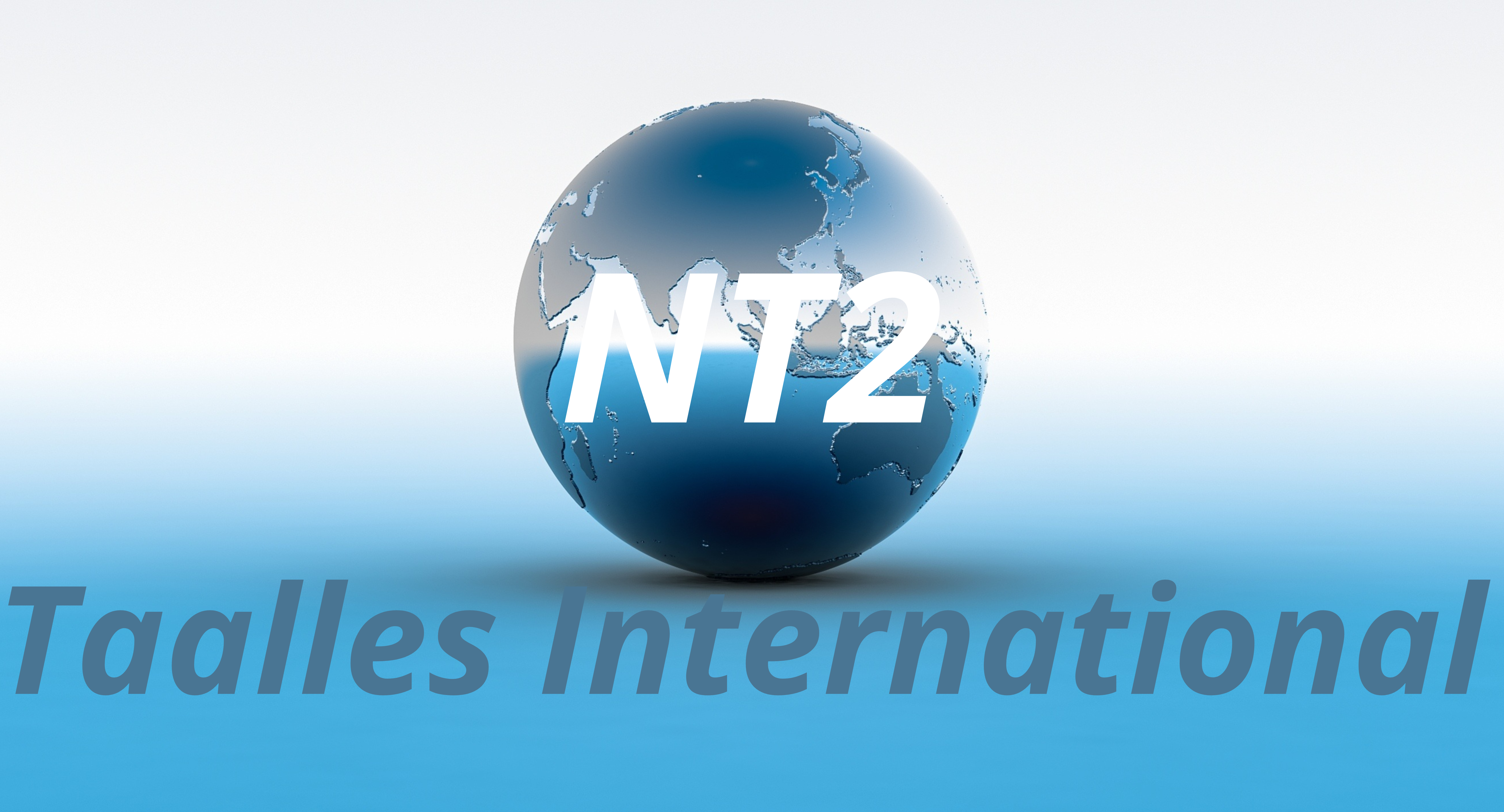 NT2 Taalles International Logo